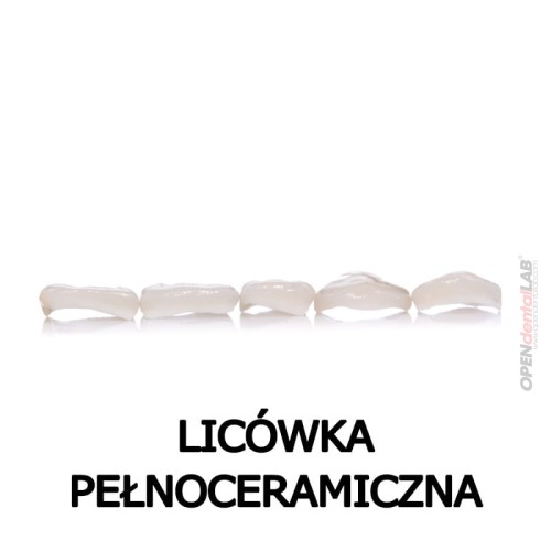 licowka pelnoceramiczna.jpg