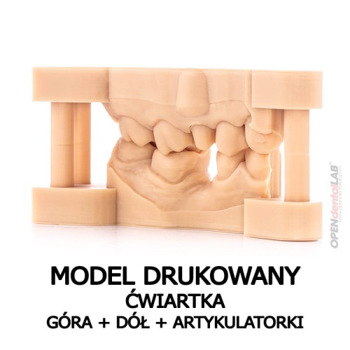 model drukowany_ćwiartka góra dół artykulatorki.jpg