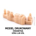 model drukowany_ćwiartka góra dół.jpg
