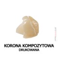 korona kompozytowa drukowana 2.jpg