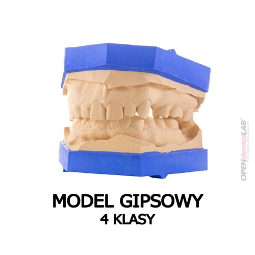 model gipsowy 4 klasy.jpg