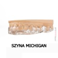 Szyna Michigan 1.jpg