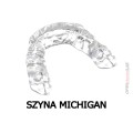 Szyna Michigan 2.jpg