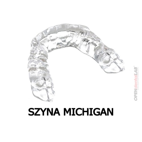 Szyna Michigan 2.jpg