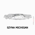 Szyna Michigan 3.jpg