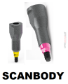 SCANBODY.png