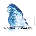 Płytka z Wałem_0001_PŁYTKA  z  WAŁEM kopia.jpg