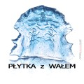 Płytka z Wałem_0002_PŁYTKA  z  WAŁEM kopia 2.jpg